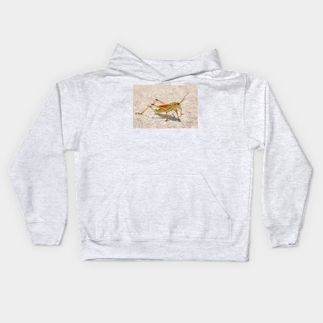 Romalea microptera, Florida lubber grasshopper Kids Hoodie by SDym Photography